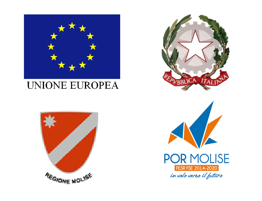 your-export your-export